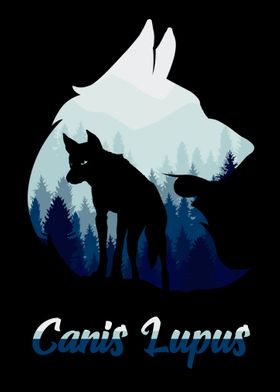 Canis Lupus