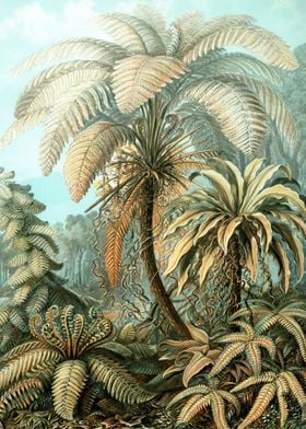 Jungle Palms Vintage