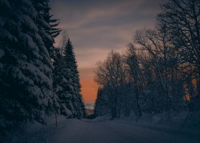 Winter road II