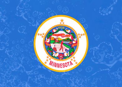 Minnesota State Flag