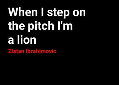 Ibrahimovic Quotes