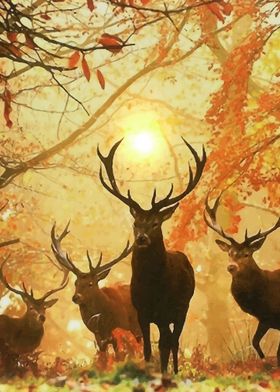 White Tail Deer in Autumn