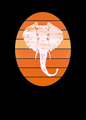 Elephant animal sun