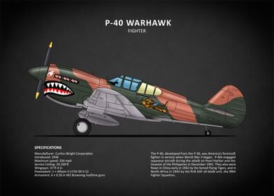 The P40 Warhawk