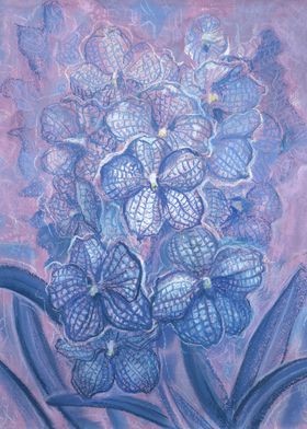 Blue Vanda Orchid Flower