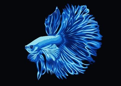 Betta Fish