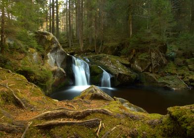 Waterfall Forest