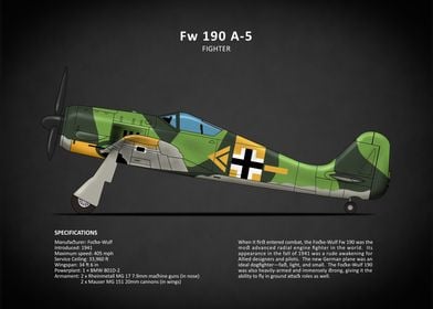 The Fw 190 Fighter