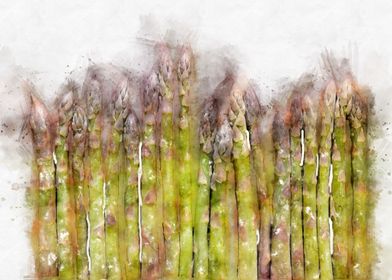 green asparagus watercolor