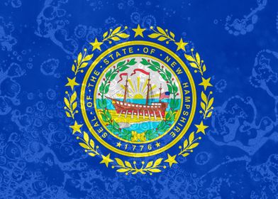 New Hampshire State Flag