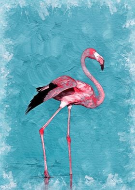 Flamingo