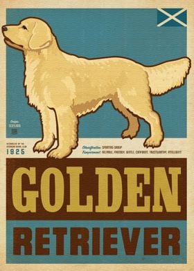 golden retriever