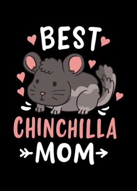 Chinchilla Mom Mothers D