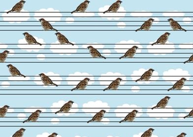 Musical sparrows