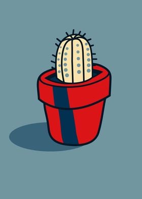 Cactus in The Flower Pot