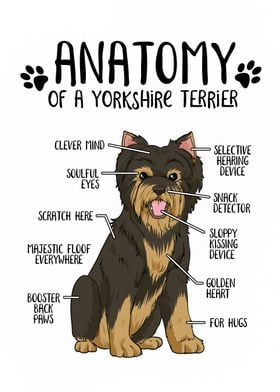 Dog Anatomy-preview-1