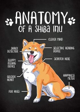 Anatomy of a Shiba Inu
