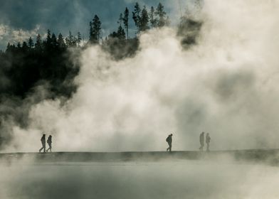 Silhouettes in the mist 