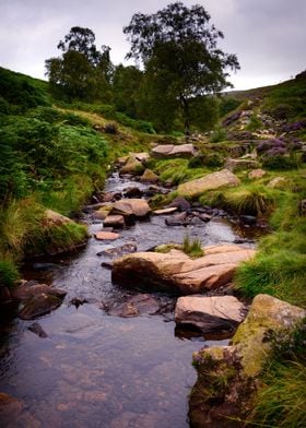 Yorkshire Landscape