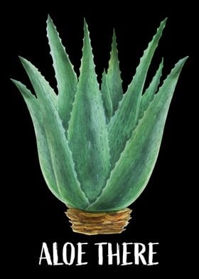 Aloe Vera Garden Plant Flo