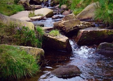 Yorkshire Landscape