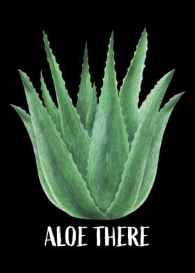 Aloe Vera Garden Plant Flo