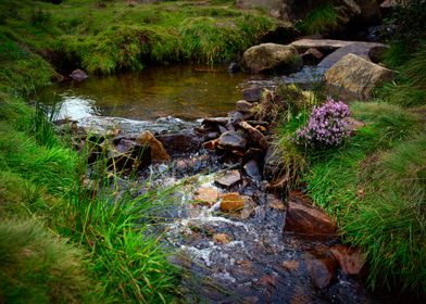 Yorkshire Landscape