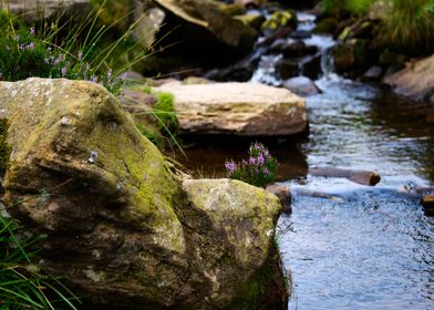 Yorkshire Landscape