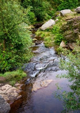 Yorkshire Landscape