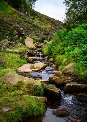 Yorkshire Landscape