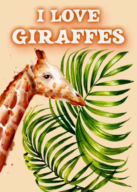 Giraffe Giraffes Africa