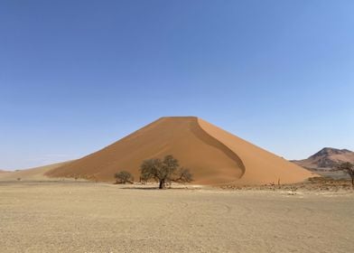 Perfect Dune