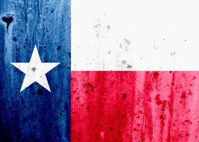 Texas State Flag