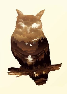 Owl Celestial 