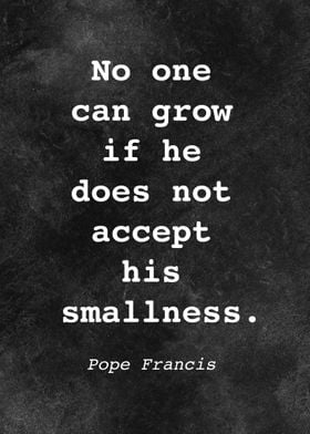 Pope Francis Quote D017