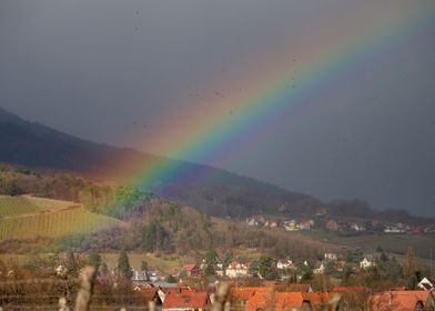 Stunning rainbow