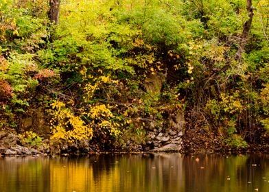 Autumn wooded landscape