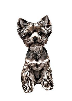 Yorkshire Terrier Painting