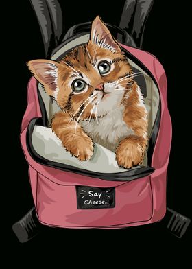 Cute cat with backpack