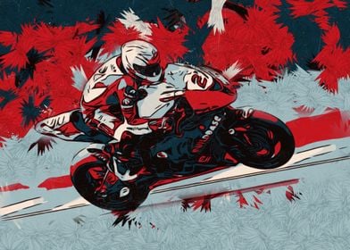 Motorcycle road racer