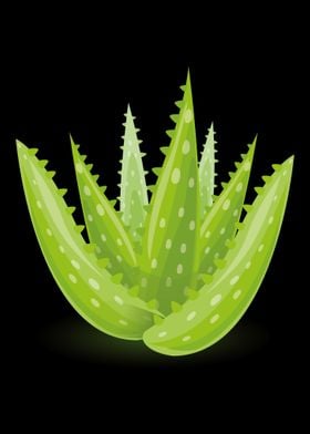 Aloe Vera Garden Plant Flo