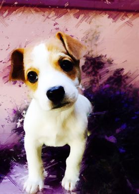 Adorable Puppy Abstract