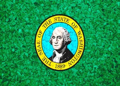 Washington State Flag