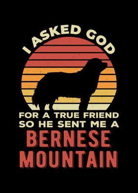 Funny Bernese Mountain