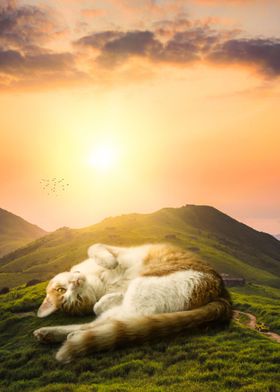 Giant Cat Relaxing on hill