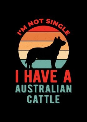 Funny Australian Cattle