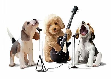 Funny Dog Music
