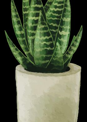 Aloe Vera Garden Plant Flo