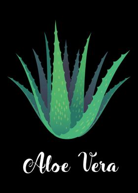 Aloe Vera Garden Plant Flo