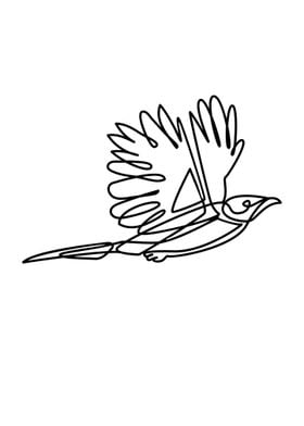 Bird Line Art Black White